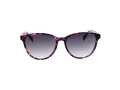 Ted Baker Solbriller TB 1763 702