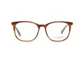 Ted Baker Briller TB 8219 351