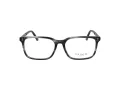 Ted Baker Briller TB 8249 903