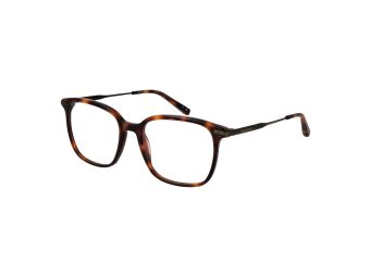Ted Baker Briller TB 8295 407