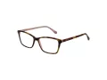 Ted Baker Briller TB 9101 222