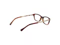 Ted Baker Briller TB 9106 223