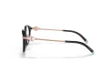 Tiffany Briller TF 2218D 8001