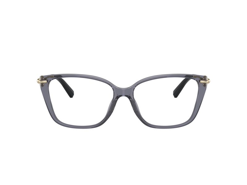 Tiffany Briller TF 2248K 8405