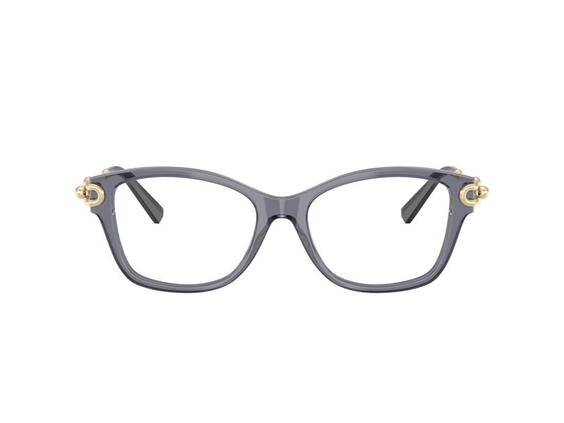 Tiffany Briller TF 2266 8405