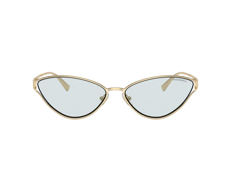 Tiffany Solbriller TF 3095 6196MF