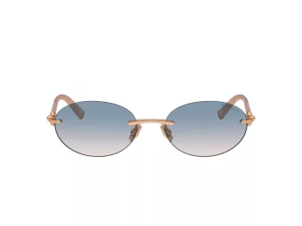 Tiffany Solbriller TF 3104D 621716