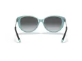 Tiffany Solbriller TF 4178 8055T3