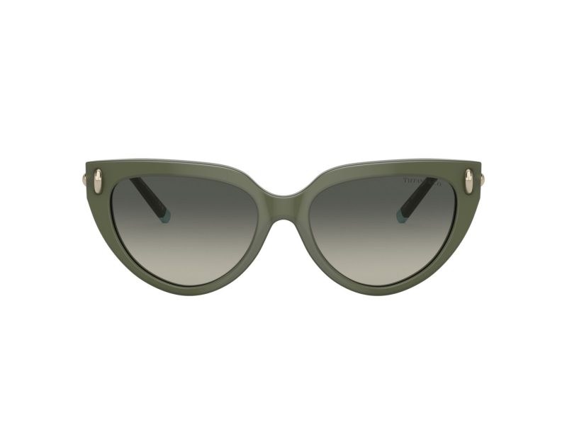 Tiffany Solbriller TF 4195 835811