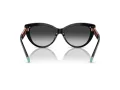 Tiffany Solbriller TF 4196 80013C