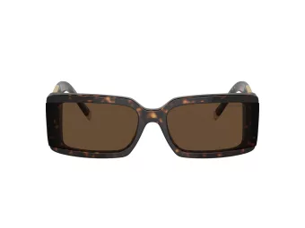 Tiffany Solbriller TF 4197 80153G