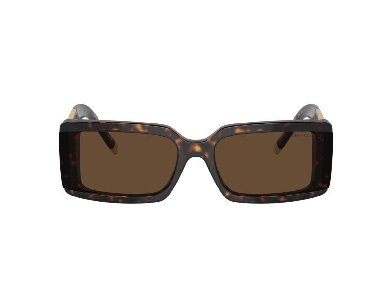 Tiffany Solbriller TF 4197 80153G