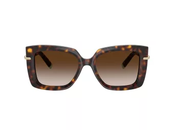 Tiffany Solbriller TF 4199 80153B