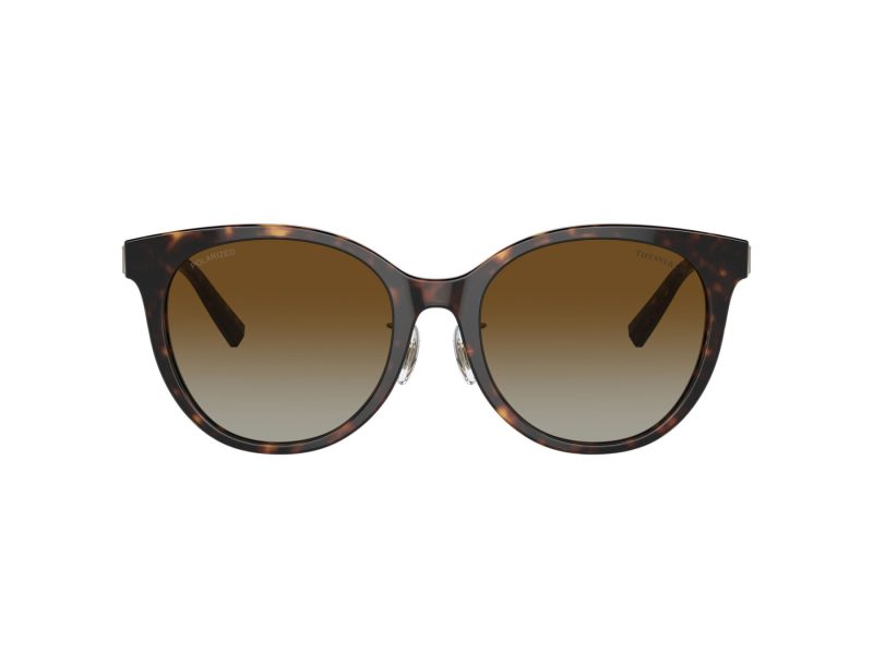 Tiffany Solbriller TF 4209D 8015T5