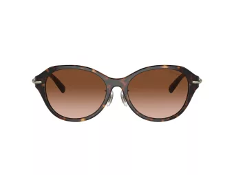 Tiffany Solbriller TF 4210D 80153B