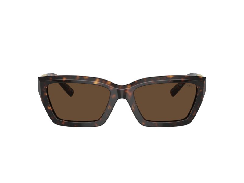 Tiffany Solbriller TF 4213 80153G