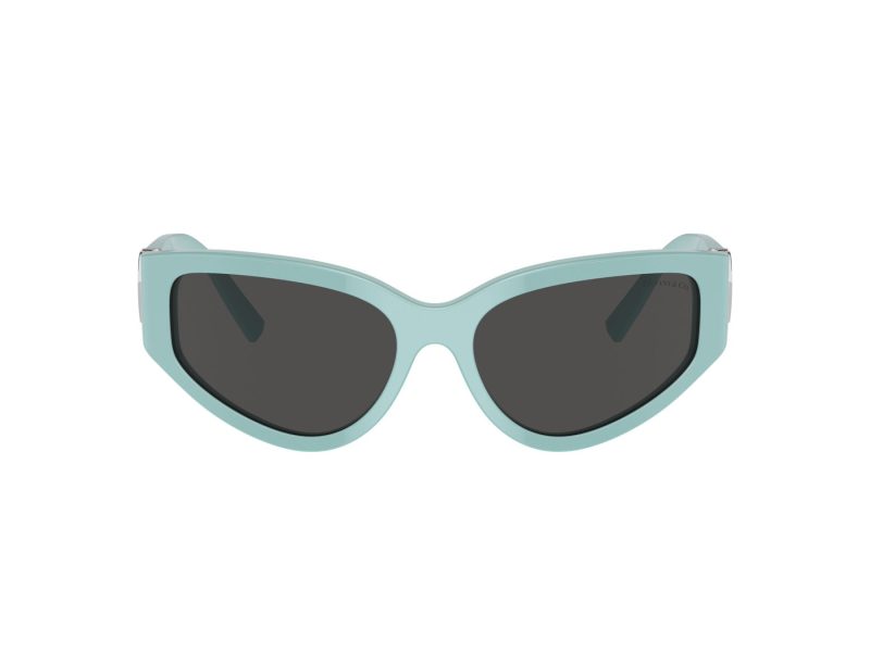 Tiffany Solbriller TF 4217 838887