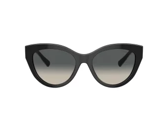 Tiffany Solbriller TF 4220 800171