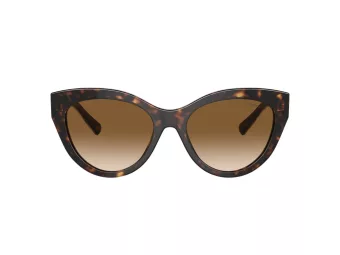 Tiffany Solbriller TF 4220 801551