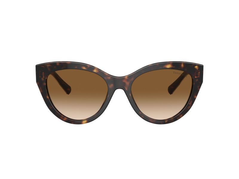 Tiffany Solbriller TF 4220 801551