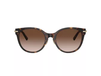 Tiffany Solbriller TF 4223D 80153B