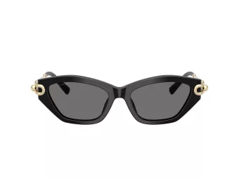 Tiffany Solbriller TF 4231U 800181