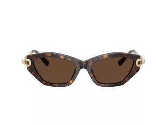 Tiffany Solbriller TF 4231U 80153G