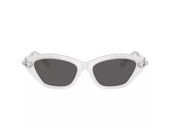 Tiffany Solbriller TF 4231U 8437S4