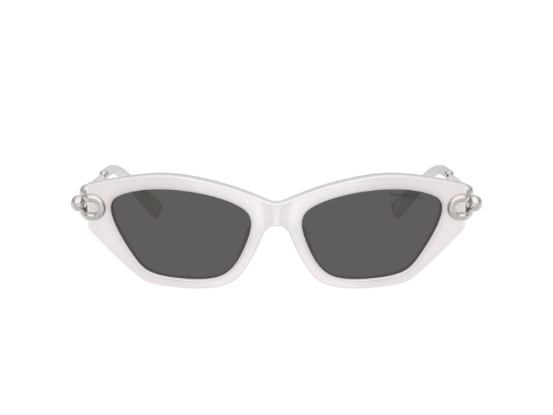 Tiffany Solbriller TF 4231U 8437S4