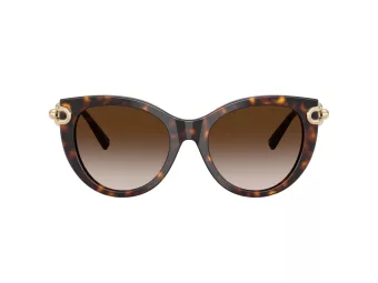 Tiffany Solbriller TF 4232 80153B