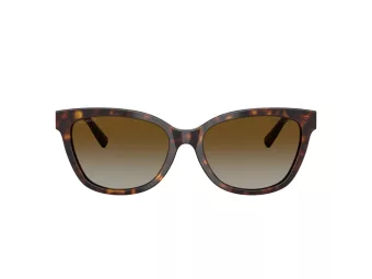 Tiffany Solbriller TF 4237B 8015T5