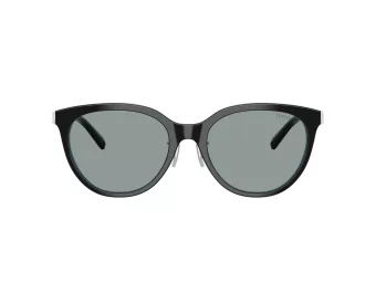 Tiffany Solbriller TF 4243D 8055/1