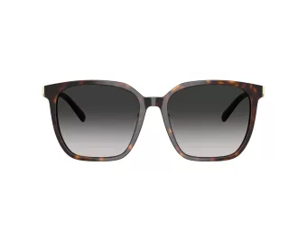 Tiffany Solbriller TF 4244D 80153C