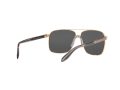 Versace Solbriller VE 2174 1002/Z3