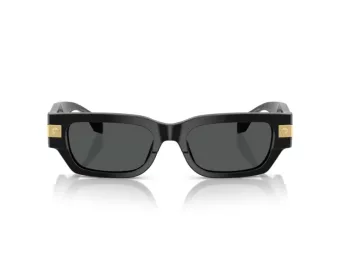 Versace Solbriller VE 4465 GB1/87
