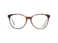 Web Briller WE 5217 056