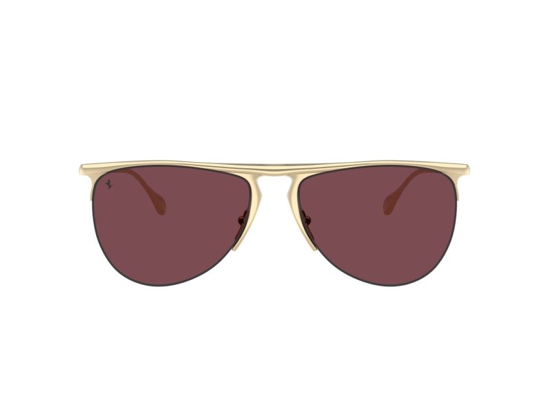 Ferrari Solbriller 1016 106/1E