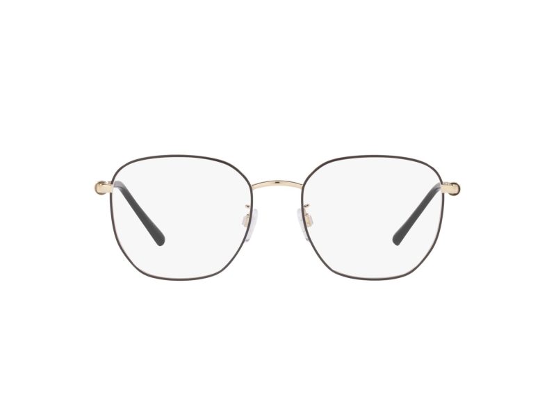 Emporio Armani Briller 1134D 3082
