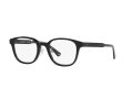 Emporio Armani Briller 3216D 5017