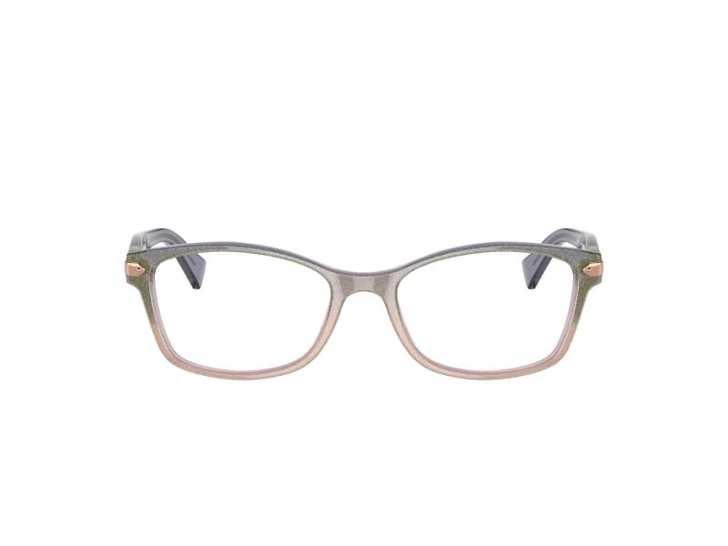 Coach Briller 6065 5554