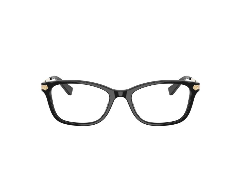 Coach Briller 6142 5002