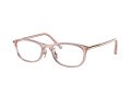 Coach Briller 6191BD 5666
