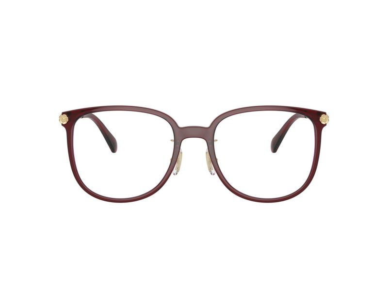 Coach Briller 6241D 5824