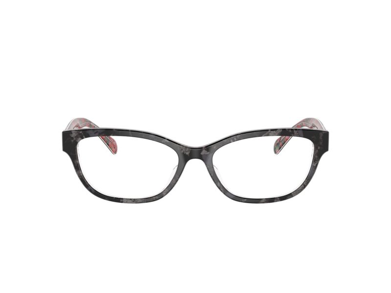 Coach Briller 6250U 5856