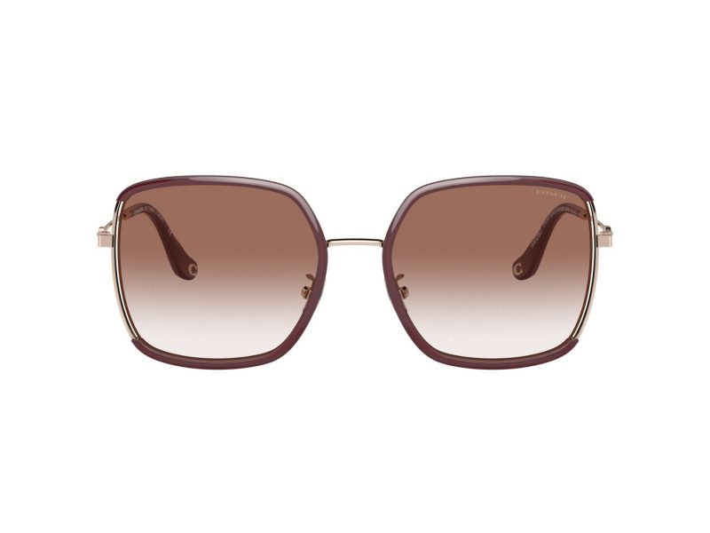 Coach C8000 Solbriller 7139BD 94028D