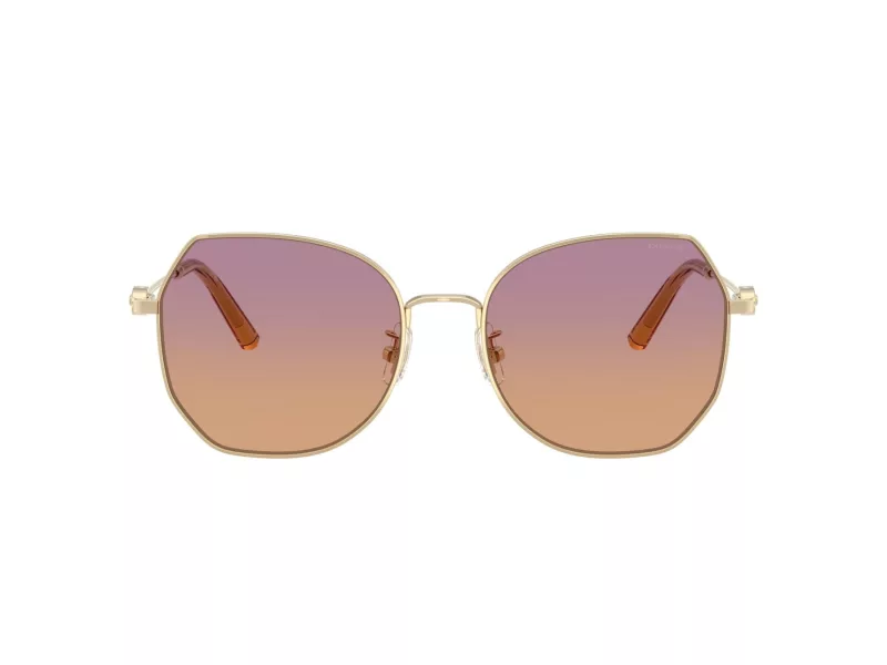 Coach Cad79 Solbriller 7175 900578