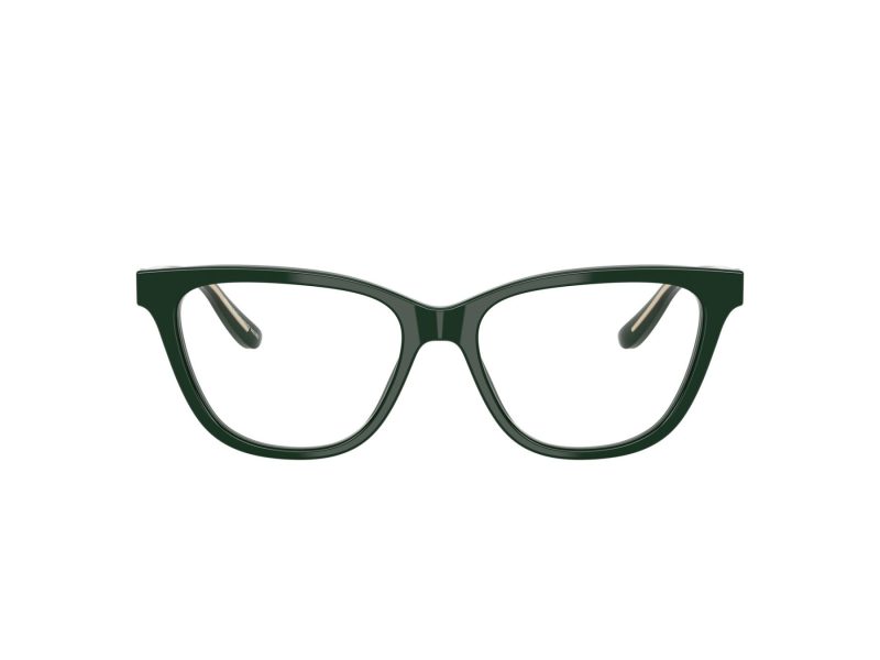 Giorgio Armani Briller 7263 6173