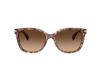 Coach L109 Solbriller 8132 528713