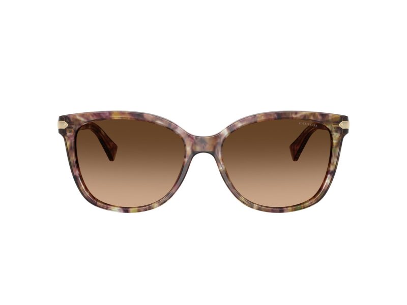 Coach L109 Solbriller 8132 528713