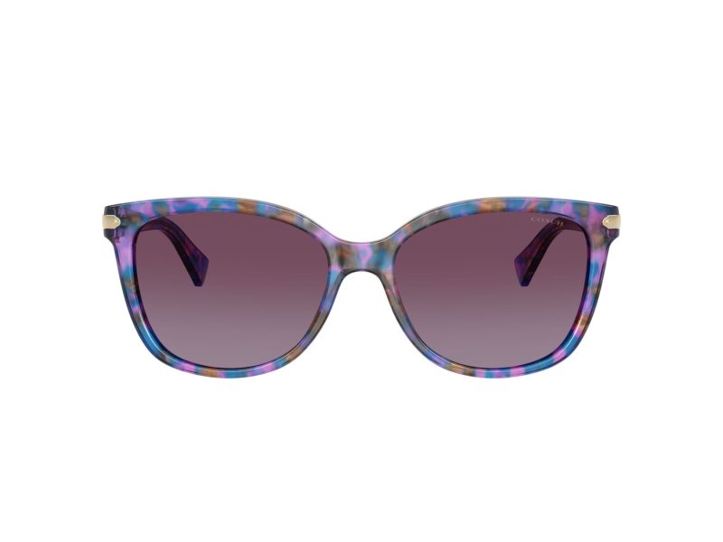 Coach L109 Solbriller 8132 52888H